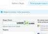 Skype-da girişi necə və nə yaratmaq olar