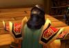 รายการว้าว 3.3 5ก.  World of Warcraft สำหรับผู้เริ่มต้น  อาวุธและชุดเกราะ  มรดกสืบทอด – PvE