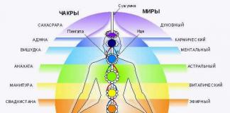 Energie van het lichaam en bewustzijn: waar de chakra's verantwoordelijk voor zijn